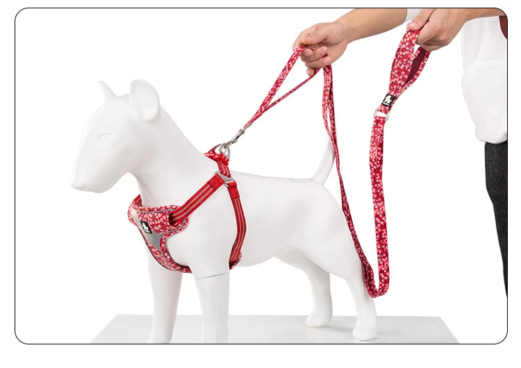 Truelove Floral Pet Leash Neoprene Padded Handle Extra Traffic Control Dog and Cat Strong Enough and Easy to Use Travel TLL3112