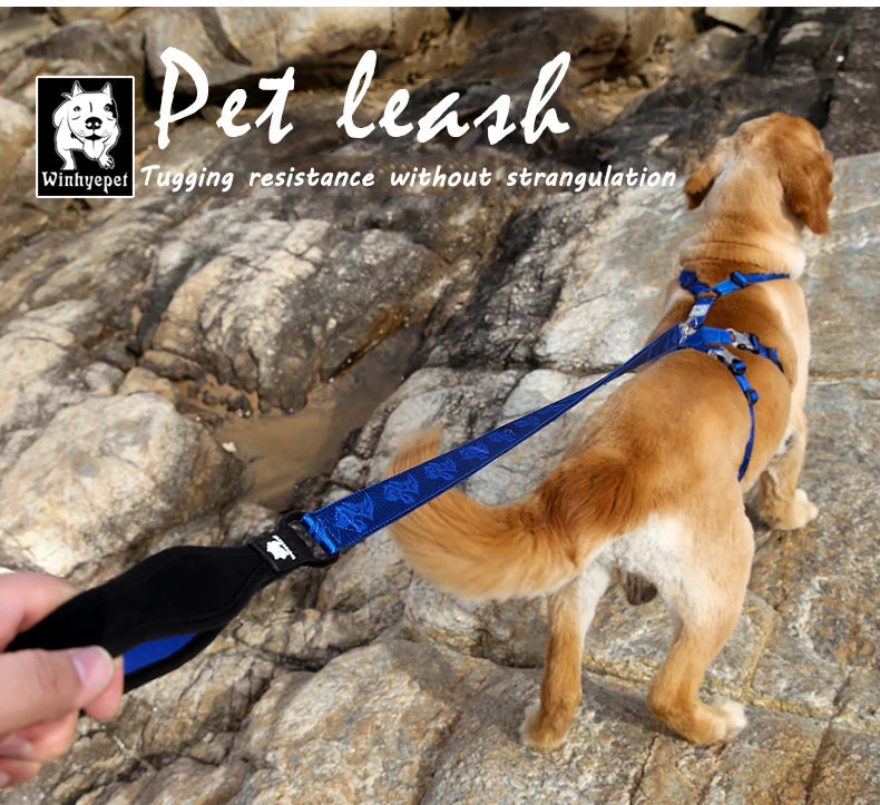 TRUELOVE Pet Leash Nylon Zinc-alloy Hook Carabiner Dog Accessories Rope Lead Medium Big Ferocious Travel Pet Supplies YL1831